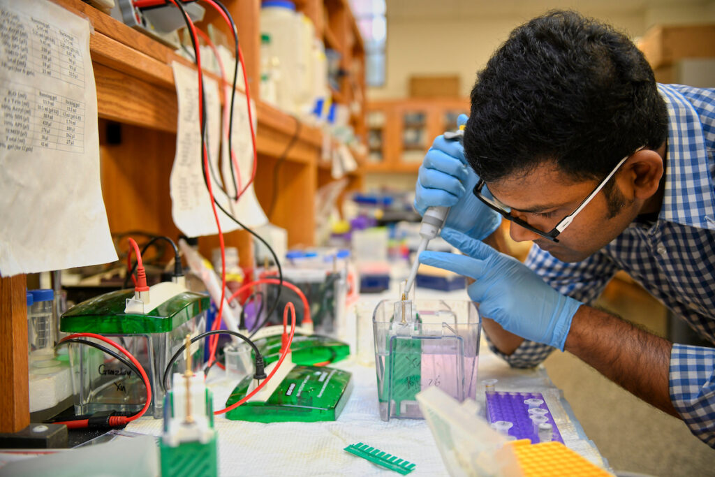 A student works in the biochemistry lab on campus.