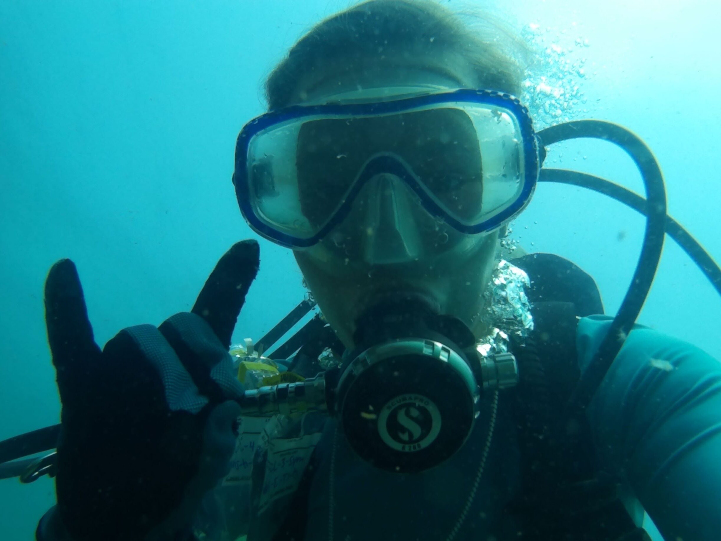 SCUBA diver underwater making the sign of the wolfpack with their hand