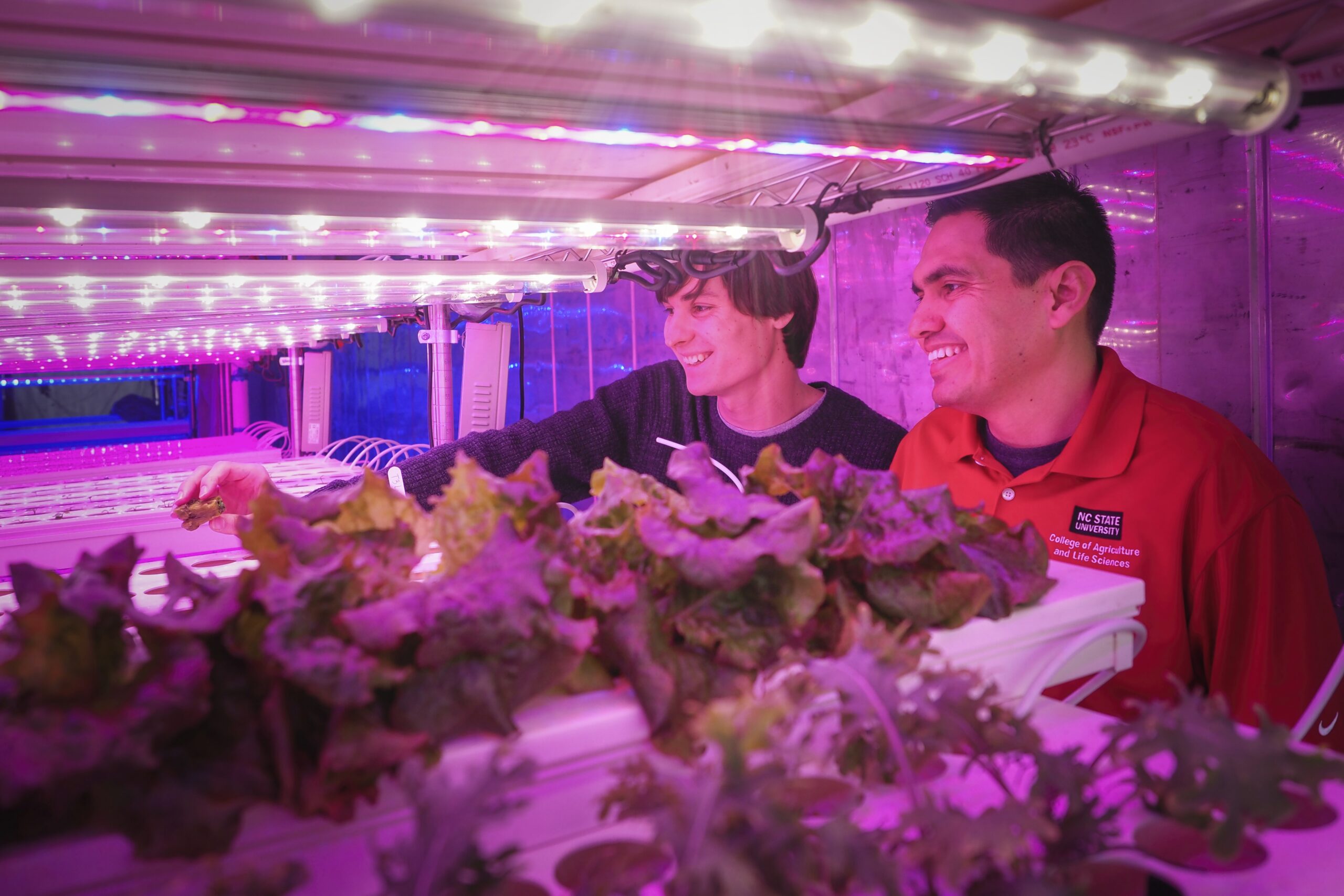 https://undergradresearch.dasa.ncsu.edu/opportunities/summer-research-programs-at-nc-state/